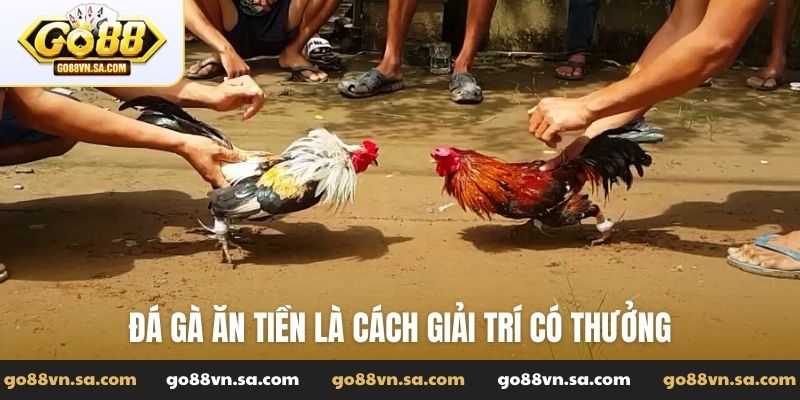 Đá gà ăn tiền là cách giải trí có thưởng