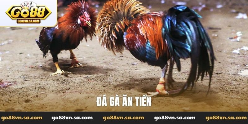 Đá gà ăn tiền